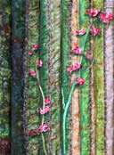 Fabric art Quilt Penstemon on Saguaro I