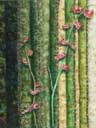  Gallery of Original Landscape Art Quilt Penstemon on Saguaro I