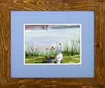 Watercolor Painting Marshas Swan