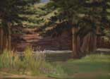 Landscape Oil Painting Gallery   