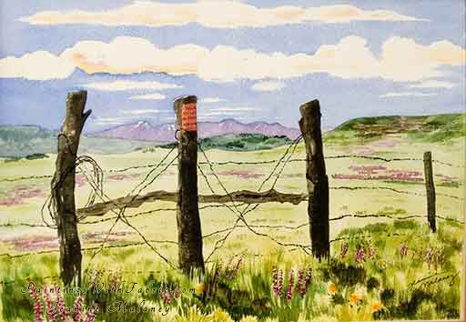  Along the Road to Buckles Lake