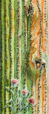 Saguaro Home Unframed Original Southwest Watercolor Painting of a closeup of a Saguaro with a Cactus wren in it