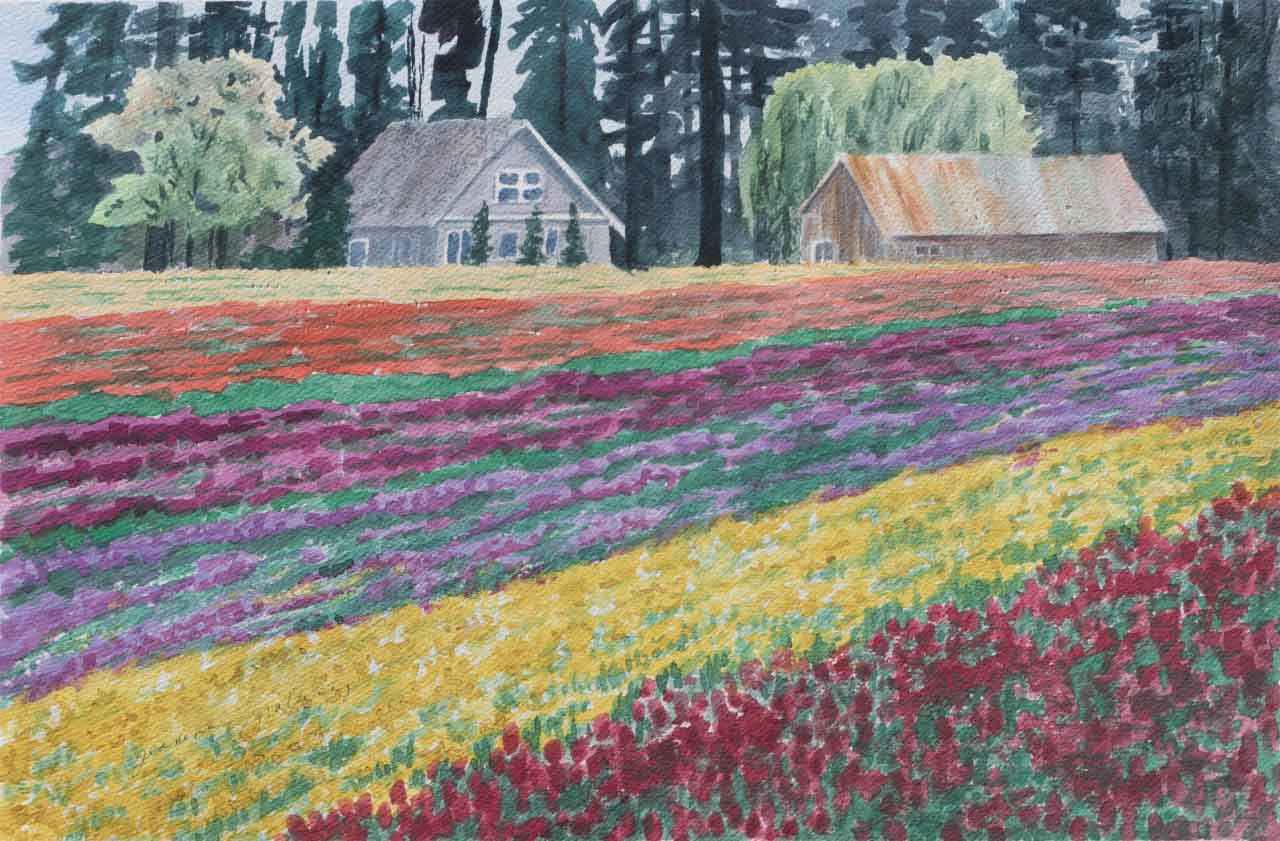 Tulip Fields Unframed Original Watercolor Painting one of the many Tulip Fields in Keizer OR with a old house and b