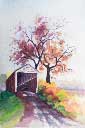 Artwork Watercolor Painting Gallery   