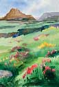Artwork Watercolor Painting Gallery   