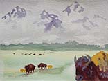 Archive (sold) Gallery   