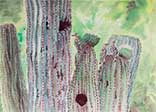 Archive (sold) Gallery   