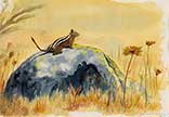 Artwork Watercolor Painting Gallery   