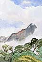 Artwork Watercolor Painting Gallery   