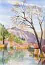 Artwork Watercolor Painting Gallery   